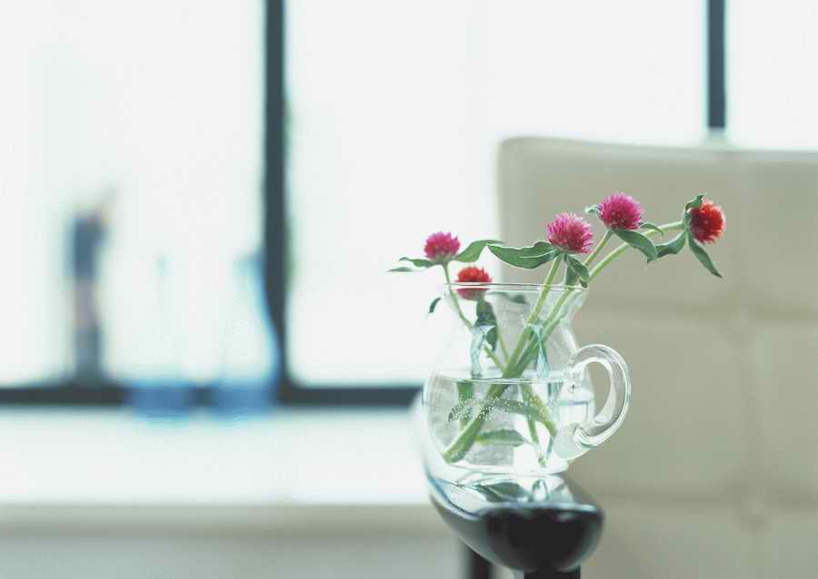 Living Space and Small Interior Items - Datacraft Sozaijiten  ></a>
<script language=JavaScript> 
  var txt = 