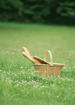 Datacraft Sozaijiten : Leisure Time in the Meadow 