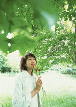 Datacraft Sozaijiten : Leisure Time in the Meadow 