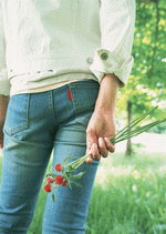 Datacraft Sozaijiten : Leisure Time in the Meadow 