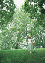 Datacraft Sozaijiten : Leisure Time in the Meadow 