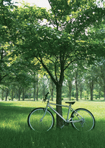 Datacraft Sozaijiten : Leisure Time in the Meadow 