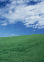 Datacraft Sozaijiten : Leisure Time in the Meadow 