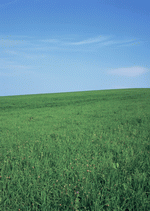 Datacraft Sozaijiten : Leisure Time in the Meadow 