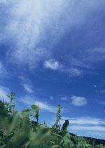 Datacraft Sozaijiten : Leisure Time in the Meadow 