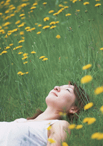 Datacraft Sozaijiten : Leisure Time in the Meadow 