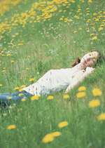 Datacraft Sozaijiten : Leisure Time in the Meadow 