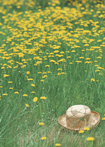 Datacraft Sozaijiten : Leisure Time in the Meadow 