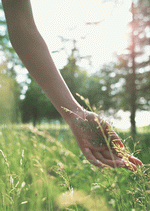 Datacraft Sozaijiten : Leisure Time in the Meadow 