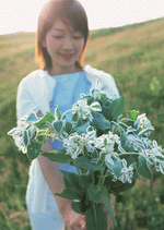 Datacraft Sozaijiten : Leisure Time in the Meadow 