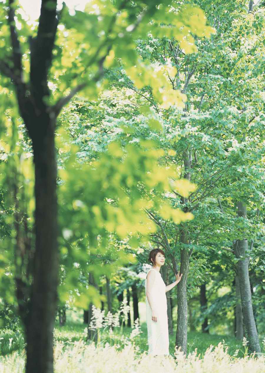 Leisure Time in the Meadow - Datacraft Sozaijiten  ></a>
<script language=JavaScript> 
  var txt = 