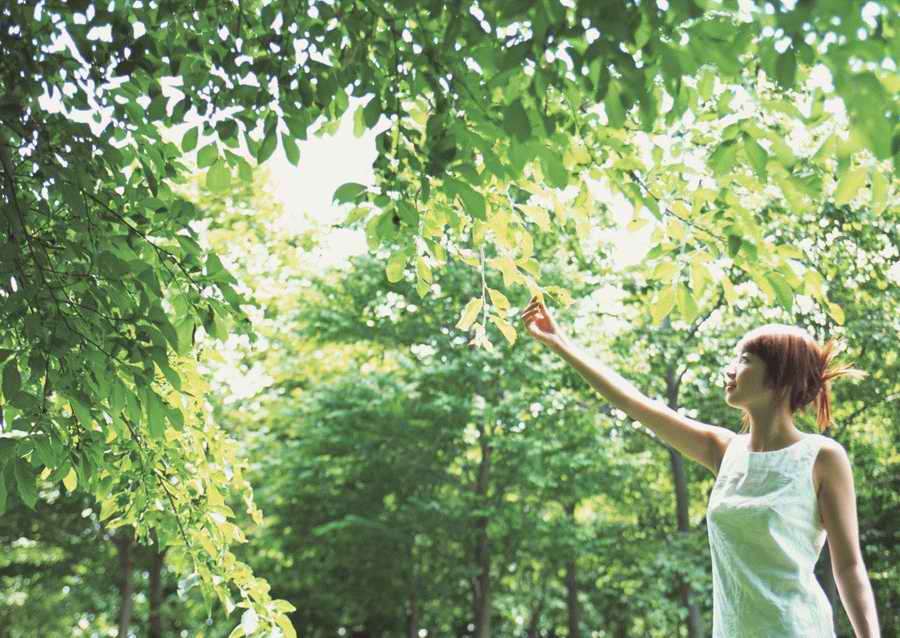 Leisure Time in the Meadow - Datacraft Sozaijiten  ></a>
<script language=JavaScript> 
  var txt = 