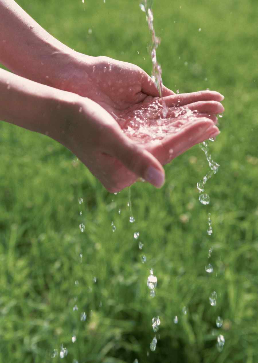 Leisure Time in the Meadow - Datacraft Sozaijiten  ></a>
<script language=JavaScript> 
  var txt = 