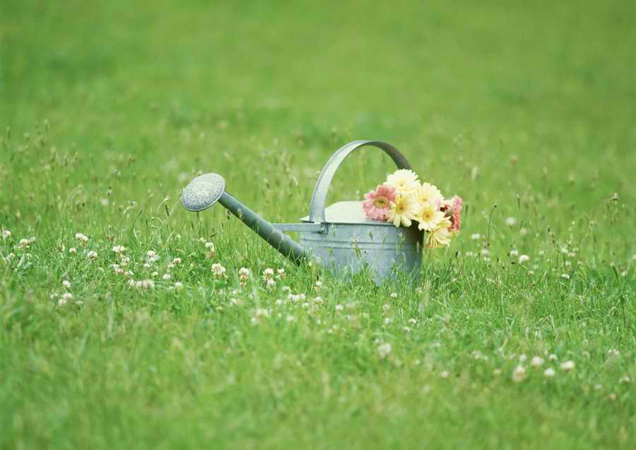 Leisure Time in the Meadow - Datacraft Sozaijiten  ></a>
<script language=JavaScript> 
  var txt = 