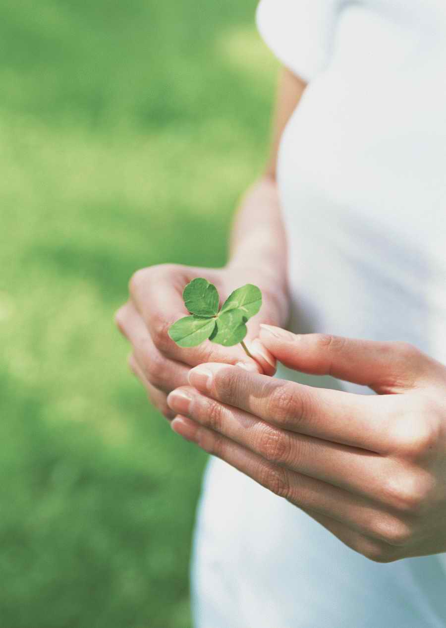 Leisure Time in the Meadow - Datacraft Sozaijiten  ></a>
<script language=JavaScript> 
  var txt = 