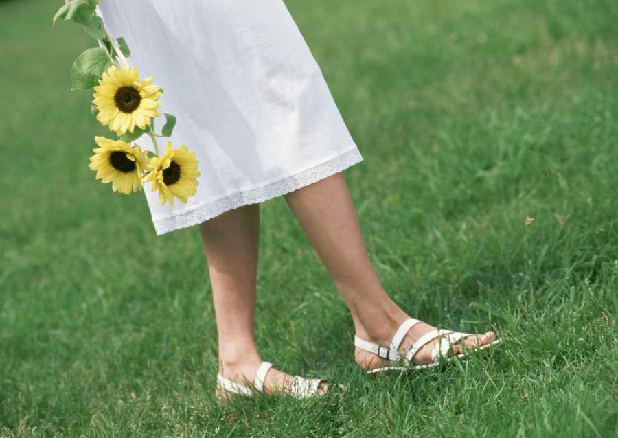 Leisure Time in the Meadow - Datacraft Sozaijiten  ></a>
<script language=JavaScript> 
  var txt = 