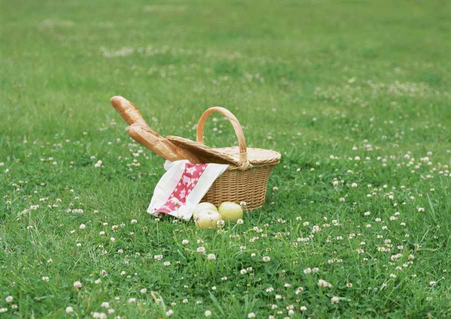 Leisure Time in the Meadow - Datacraft Sozaijiten  ></a>
<script language=JavaScript> 
  var txt = 