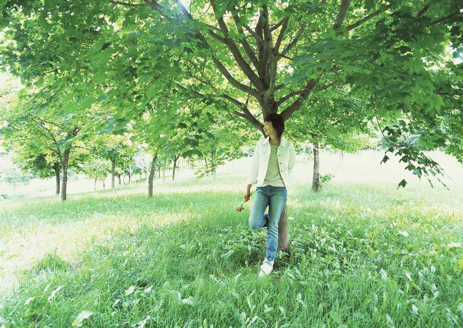 Leisure Time in the Meadow - Datacraft Sozaijiten  ></a>
<script language=JavaScript> 
  var txt = 