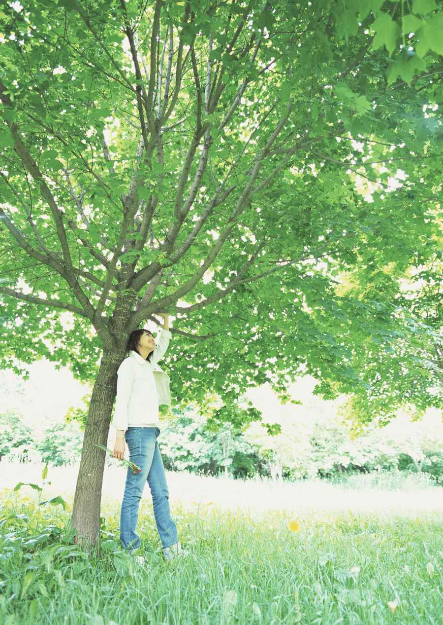 Leisure Time in the Meadow - Datacraft Sozaijiten  ></a>
<script language=JavaScript> 
  var txt = 