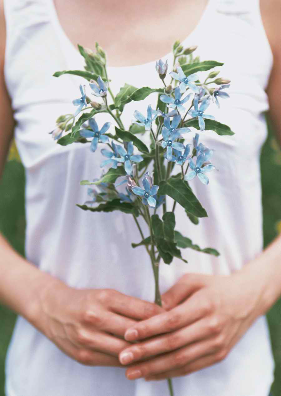 Leisure Time in the Meadow - Datacraft Sozaijiten  ></a>
<script language=JavaScript> 
  var txt = 