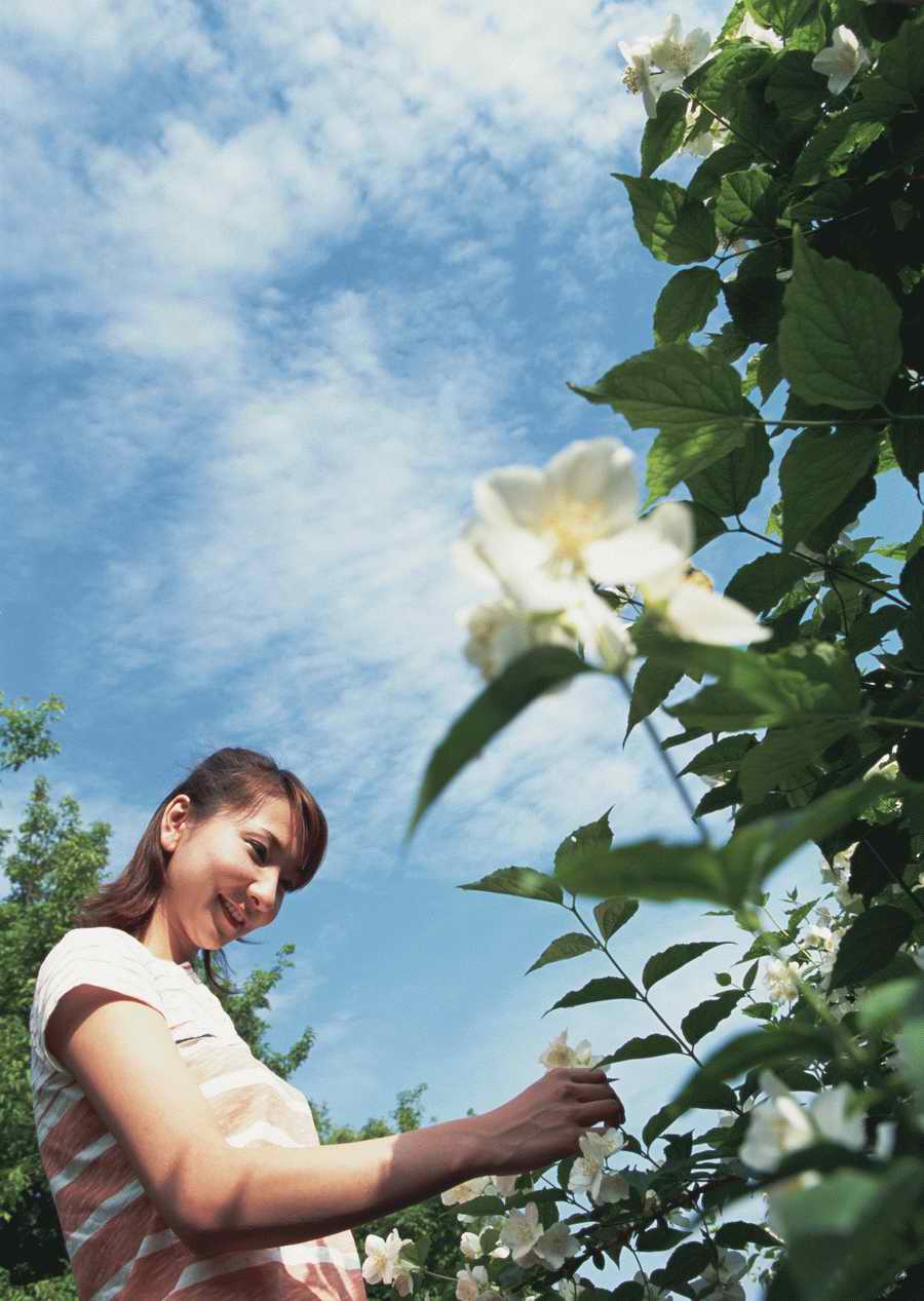 Leisure Time in the Meadow - Datacraft Sozaijiten  ></a>
<script language=JavaScript> 
  var txt = 