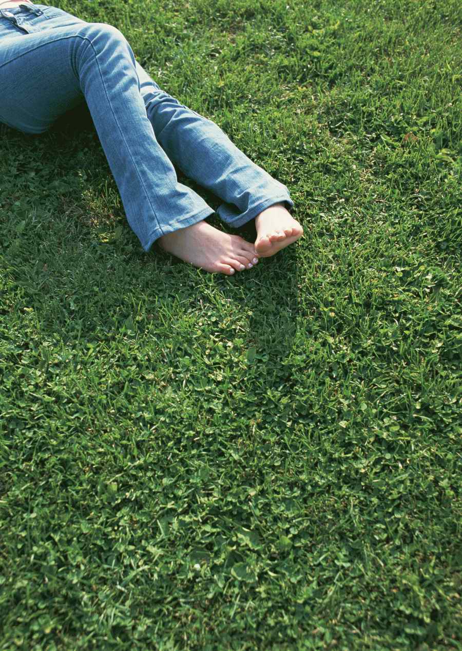 Leisure Time in the Meadow - Datacraft Sozaijiten  ></a>
<script language=JavaScript> 
  var txt = 