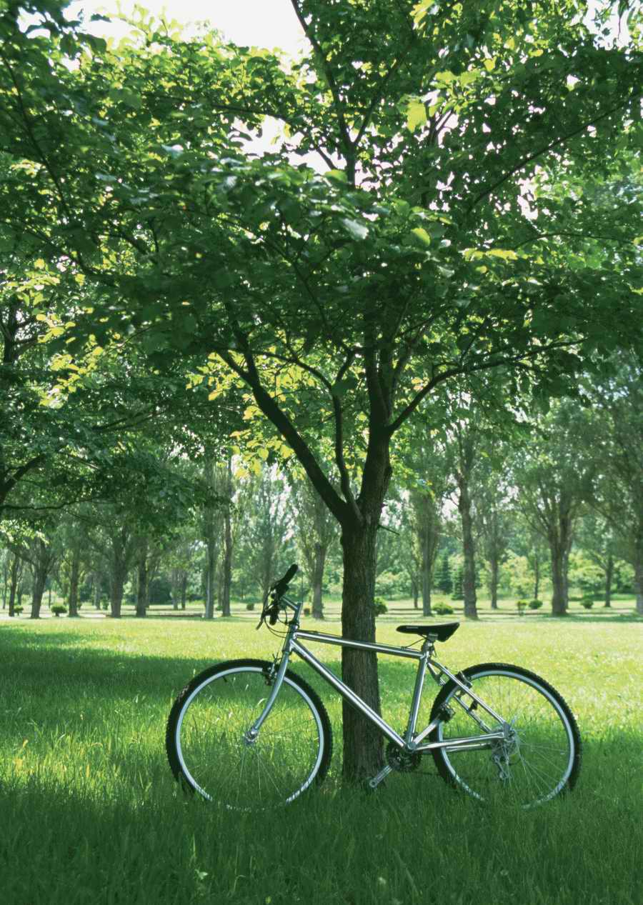 Leisure Time in the Meadow - Datacraft Sozaijiten  ></a>
<script language=JavaScript> 
  var txt = 