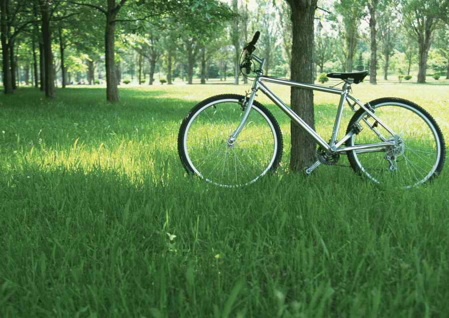 Leisure Time in the Meadow - Datacraft Sozaijiten  ></a>
<script language=JavaScript> 
  var txt = 