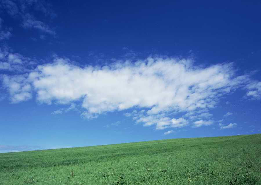 Leisure Time in the Meadow - Datacraft Sozaijiten  ></a>
<script language=JavaScript> 
  var txt = 