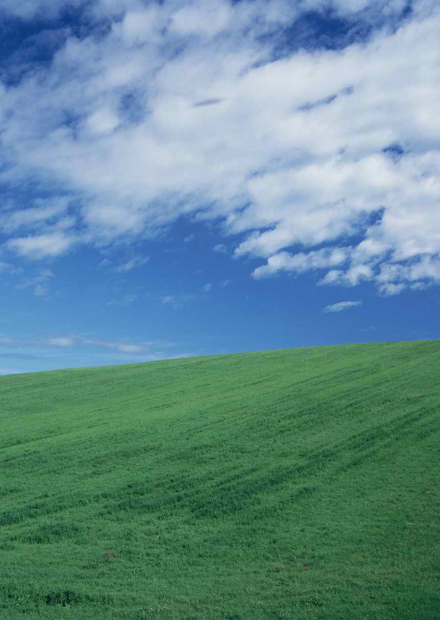 Leisure Time in the Meadow - Datacraft Sozaijiten  ></a>
<script language=JavaScript> 
  var txt = 