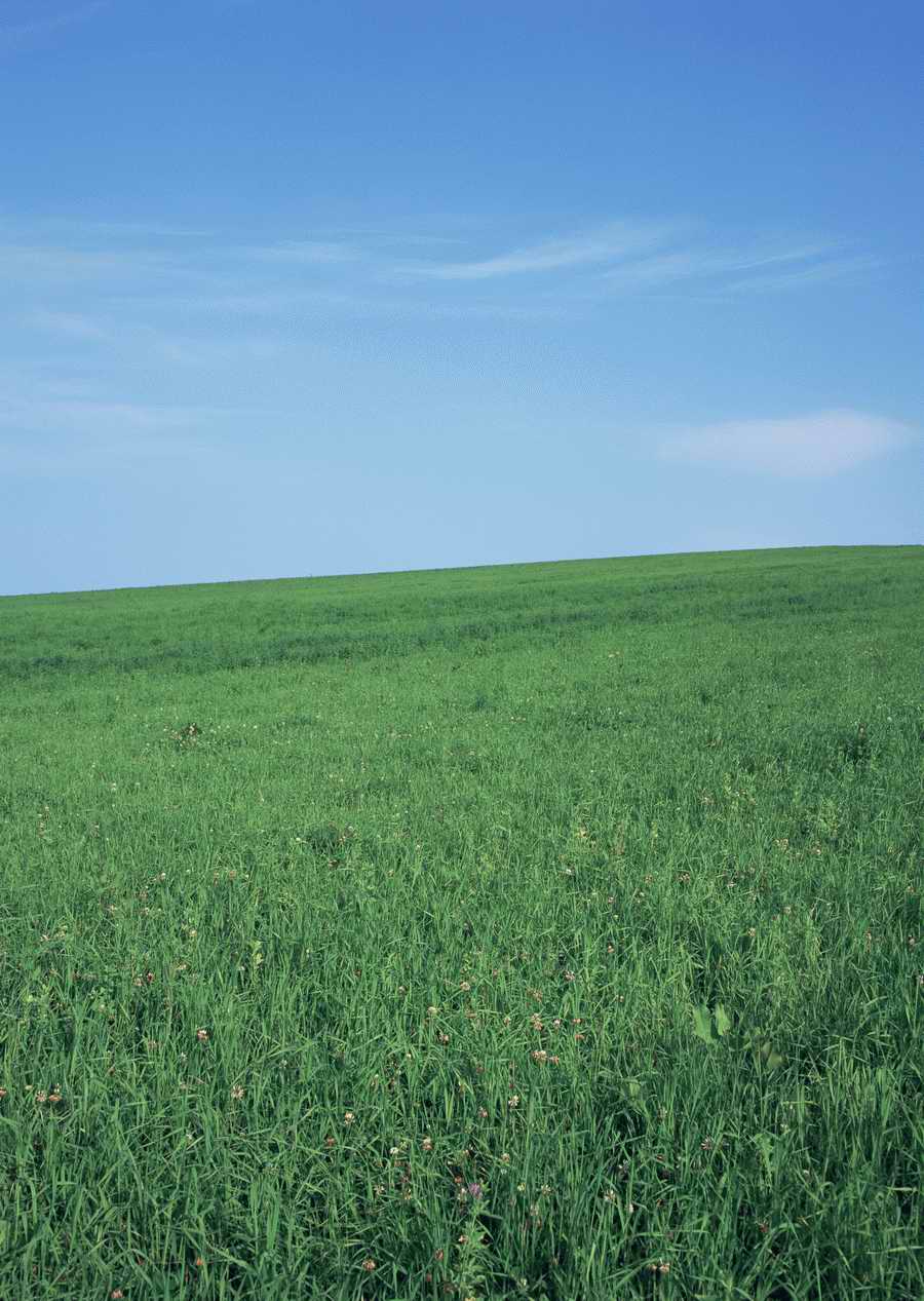 Leisure Time in the Meadow - Datacraft Sozaijiten  ></a>
<script language=JavaScript> 
  var txt = 