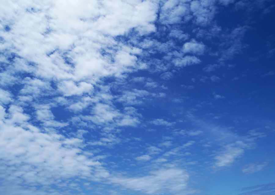 Leisure Time in the Meadow - Datacraft Sozaijiten  ></a>
<script language=JavaScript> 
  var txt = 