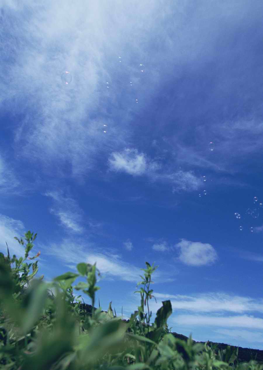 Leisure Time in the Meadow - Datacraft Sozaijiten  ></a>
<script language=JavaScript> 
  var txt = 