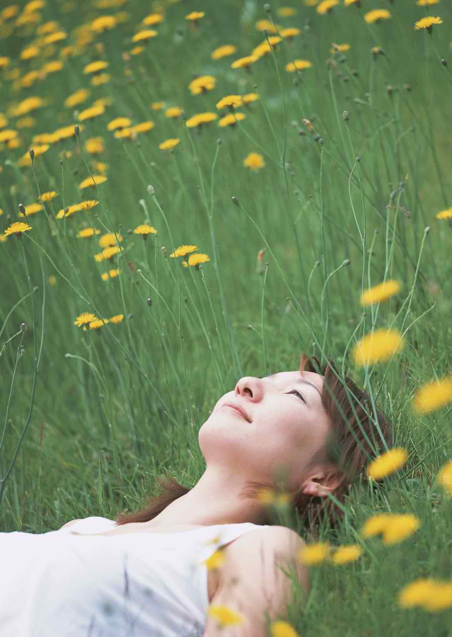 Leisure Time in the Meadow - Datacraft Sozaijiten  ></a>
<script language=JavaScript> 
  var txt = 