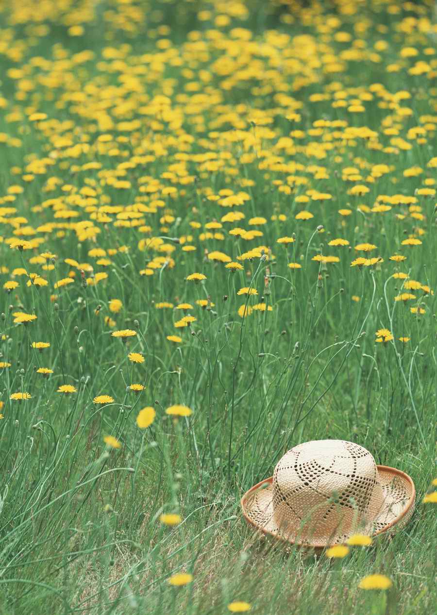 Leisure Time in the Meadow - Datacraft Sozaijiten  ></a>
<script language=JavaScript> 
  var txt = 