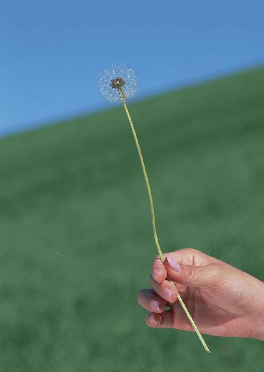 Leisure Time in the Meadow - Datacraft Sozaijiten  ></a>
<script language=JavaScript> 
  var txt = 