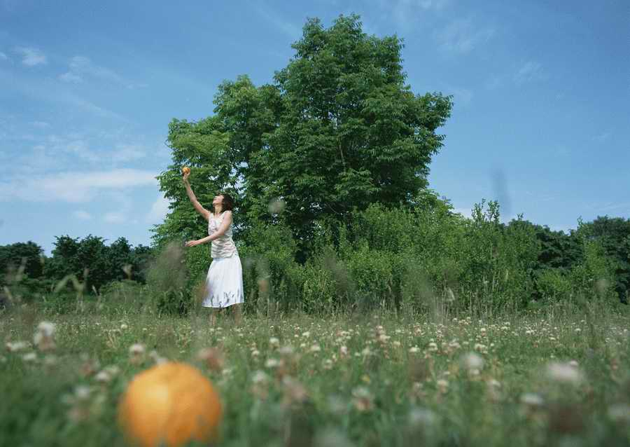 Leisure Time in the Meadow - Datacraft Sozaijiten  ></a>
<script language=JavaScript> 
  var txt = 