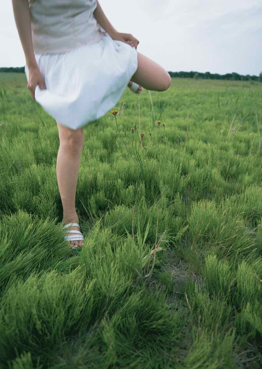 Leisure Time in the Meadow - Datacraft Sozaijiten  ></a>
<script language=JavaScript> 
  var txt = 