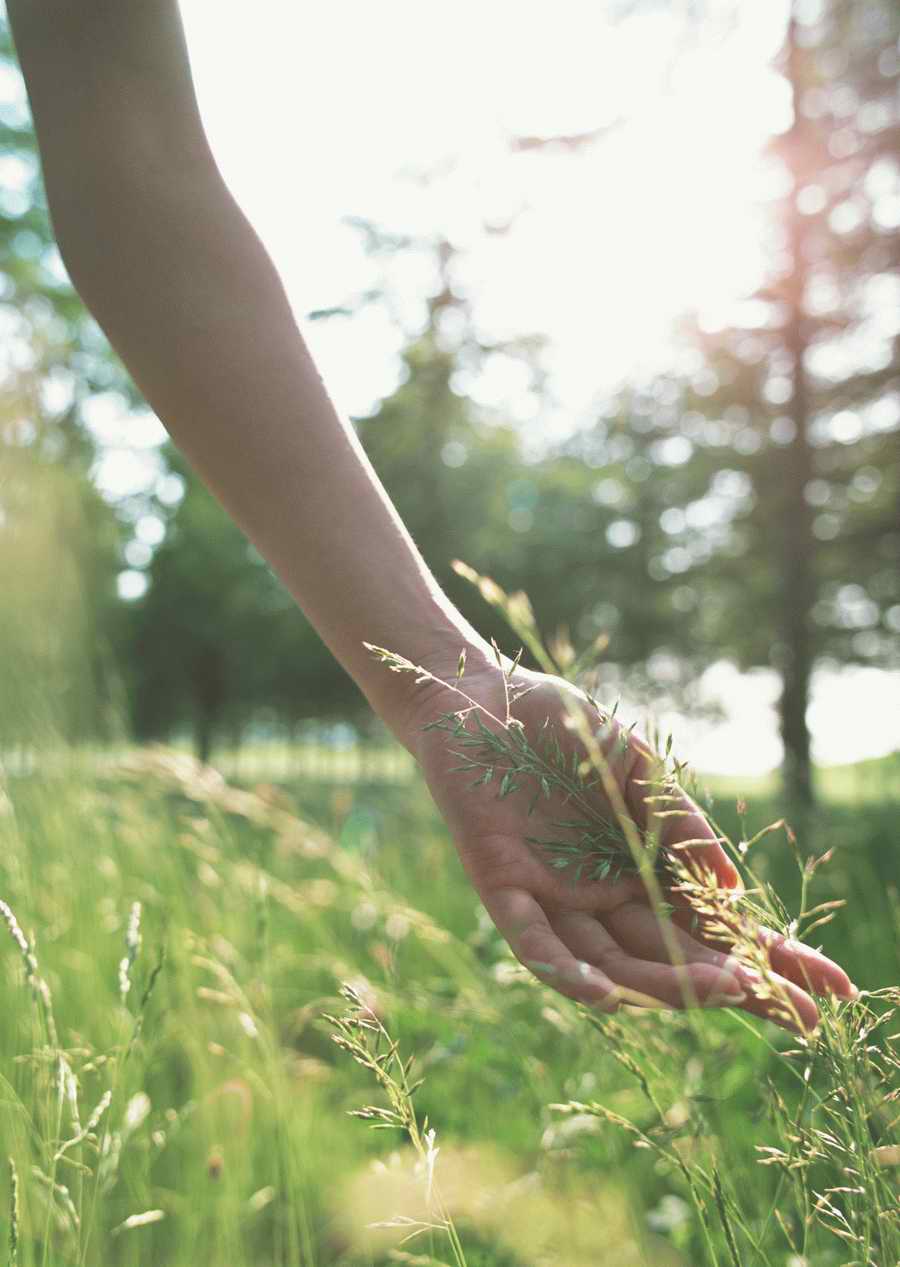 Leisure Time in the Meadow - Datacraft Sozaijiten  ></a>
<script language=JavaScript> 
  var txt = 