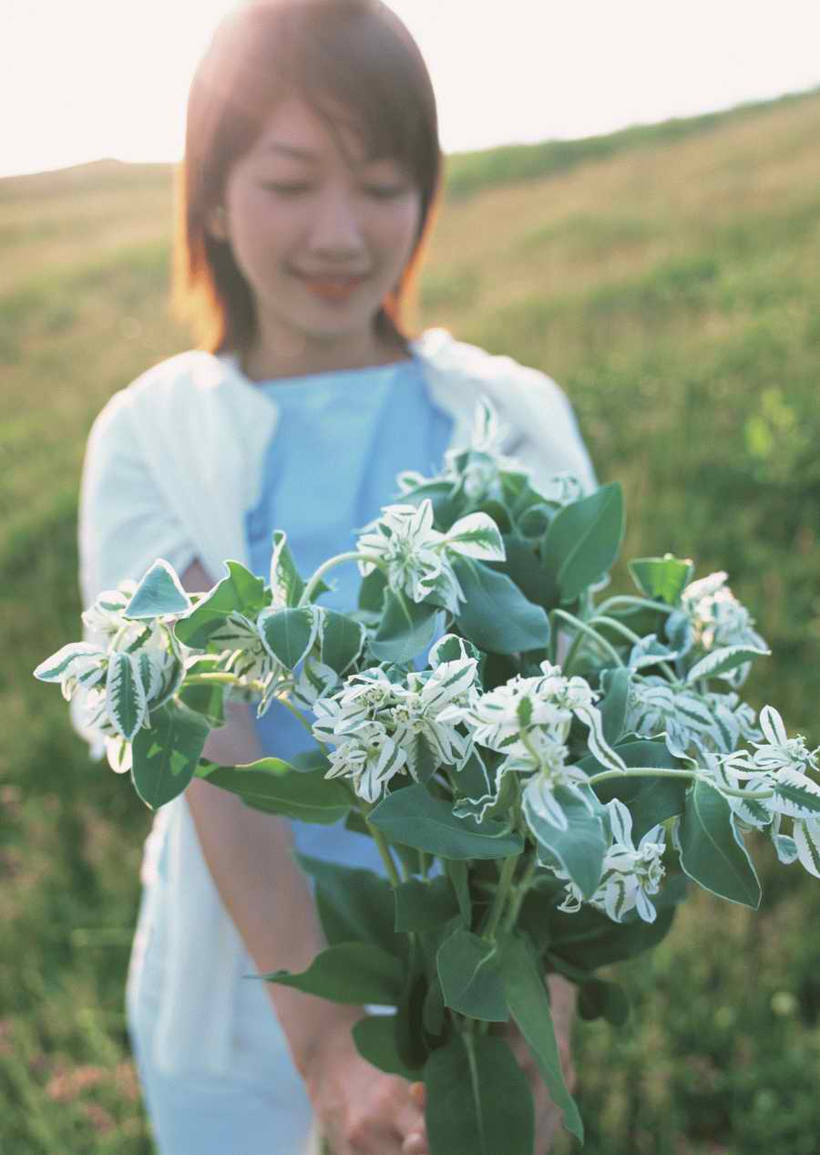 Leisure Time in the Meadow - Datacraft Sozaijiten  ></a>
<script language=JavaScript> 
  var txt = 