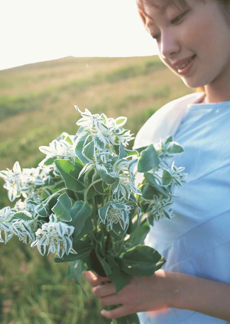 Leisure Time in the Meadow - Datacraft Sozaijiten  ></a>
<script language=JavaScript> 
  var txt = 