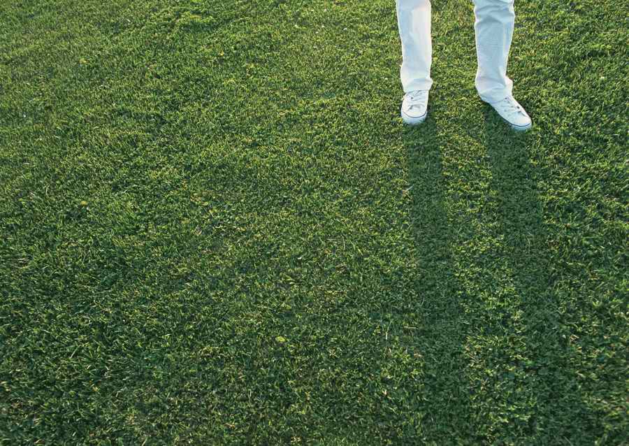 Leisure Time in the Meadow - Datacraft Sozaijiten  ></a>
<script language=JavaScript> 
  var txt = 