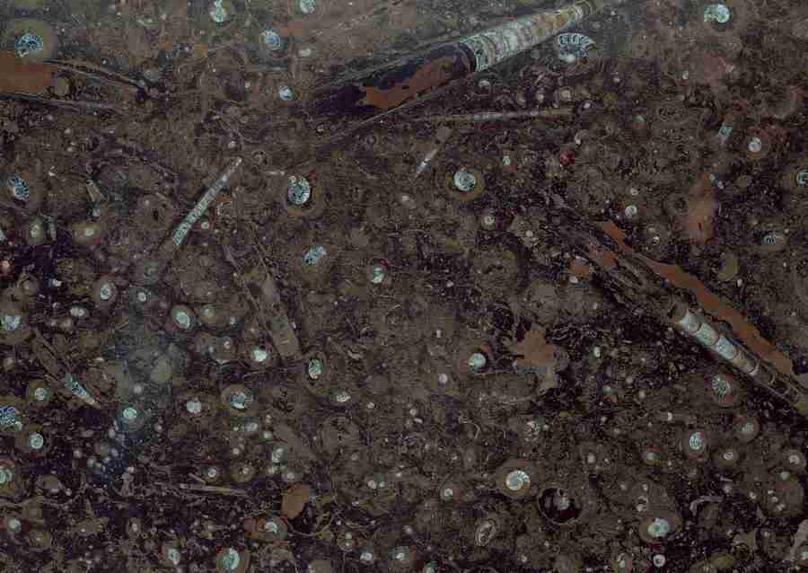 Marble - Datacraft Sozaijiten  ></a>
<script language=JavaScript> 
  var txt = 