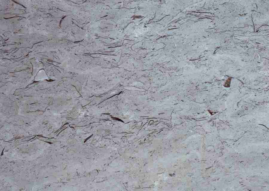 Marble - Datacraft Sozaijiten  ></a>
<script language=JavaScript> 
  var txt = 