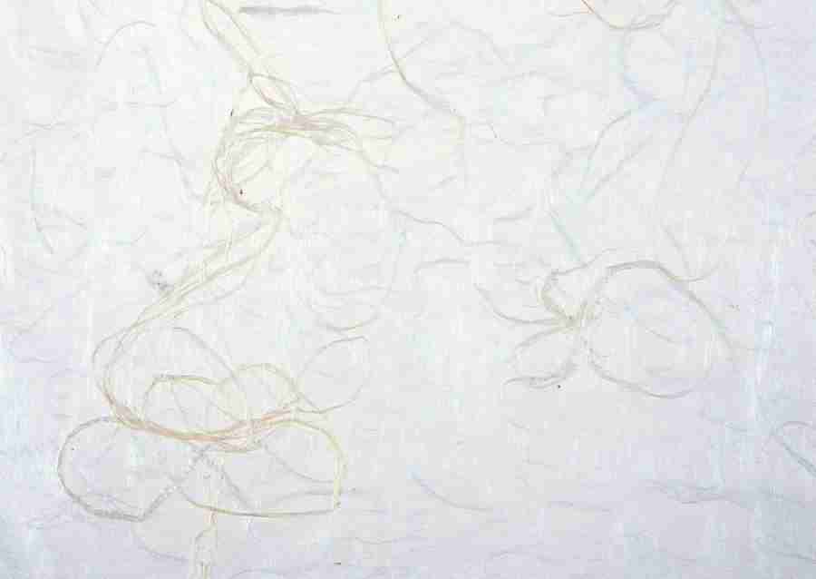 Mino Japanese Paper - Datacraft Sozaijiten  ></a>
<script language=JavaScript> 
  var txt = 