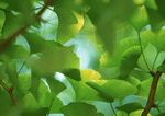 Datacraft Sozaijiten : New Foliage 