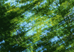 Datacraft Sozaijiten : New Foliage 