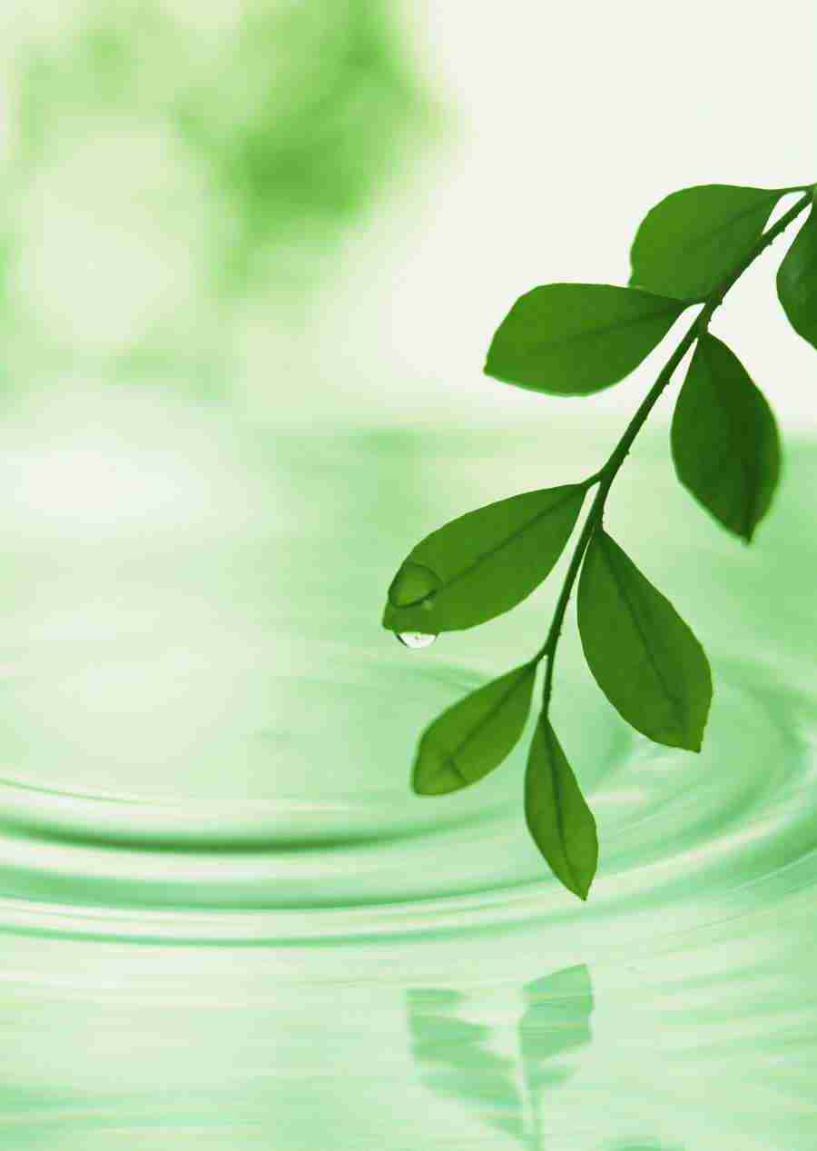 New Foliage - Datacraft Sozaijiten  ></a>
<script language=JavaScript> 
  var txt = 