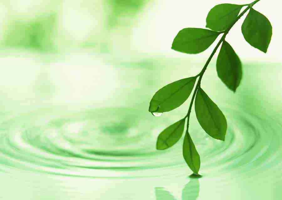 New Foliage - Datacraft Sozaijiten  ></a>
<script language=JavaScript> 
  var txt = 