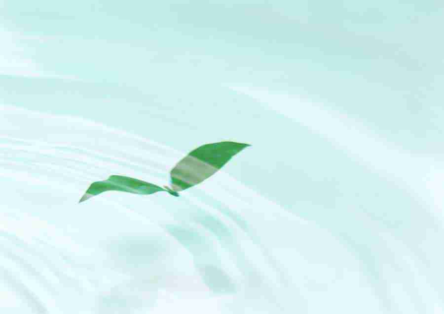 New Foliage - Datacraft Sozaijiten  ></a>
<script language=JavaScript> 
  var txt = 